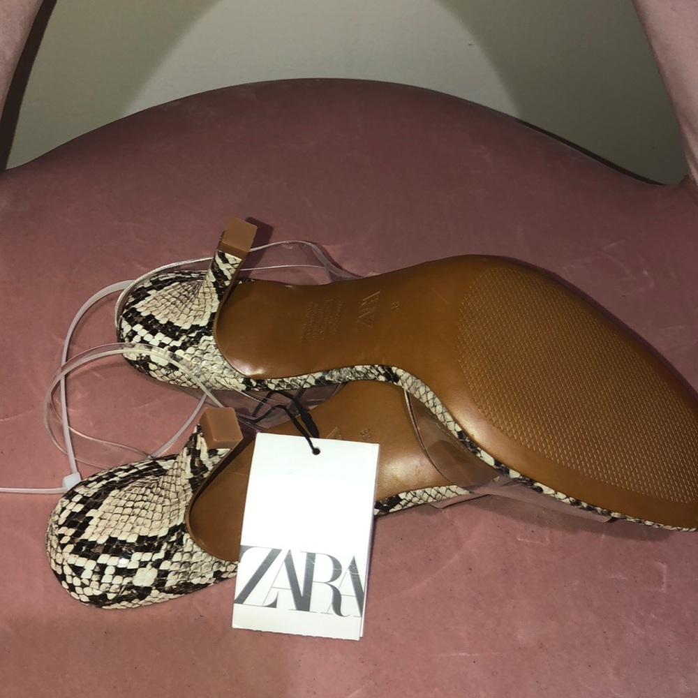 Zara python print SOLD - Picture 4 of 6